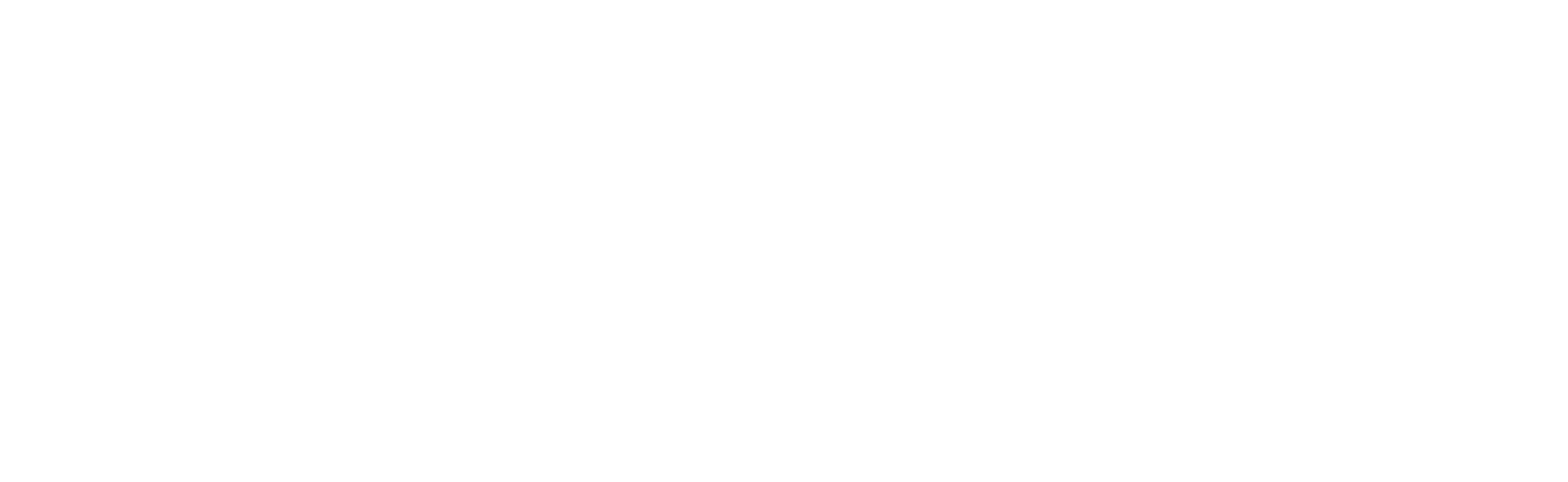 Mettleprecision